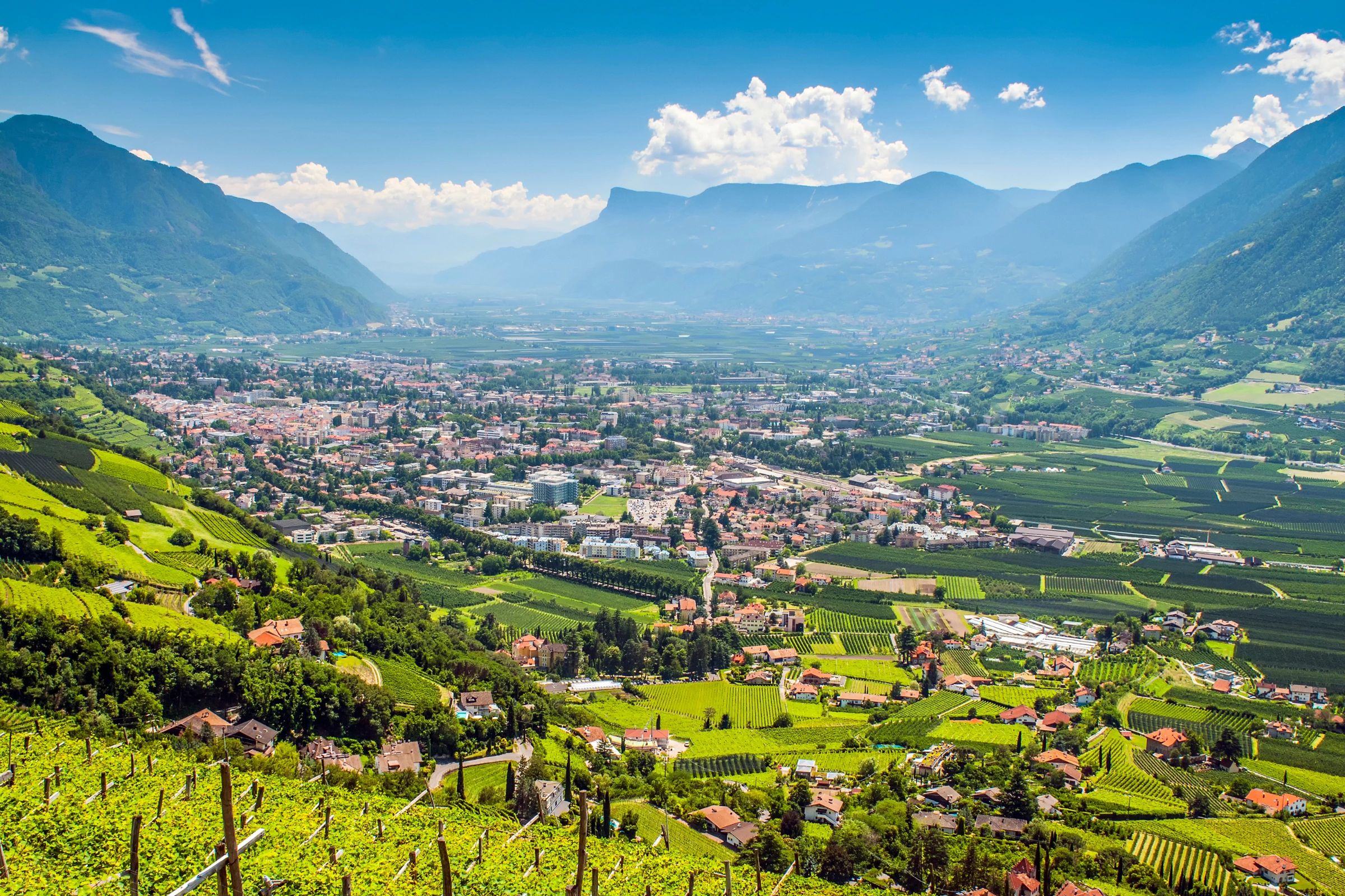 Merano[1].webp